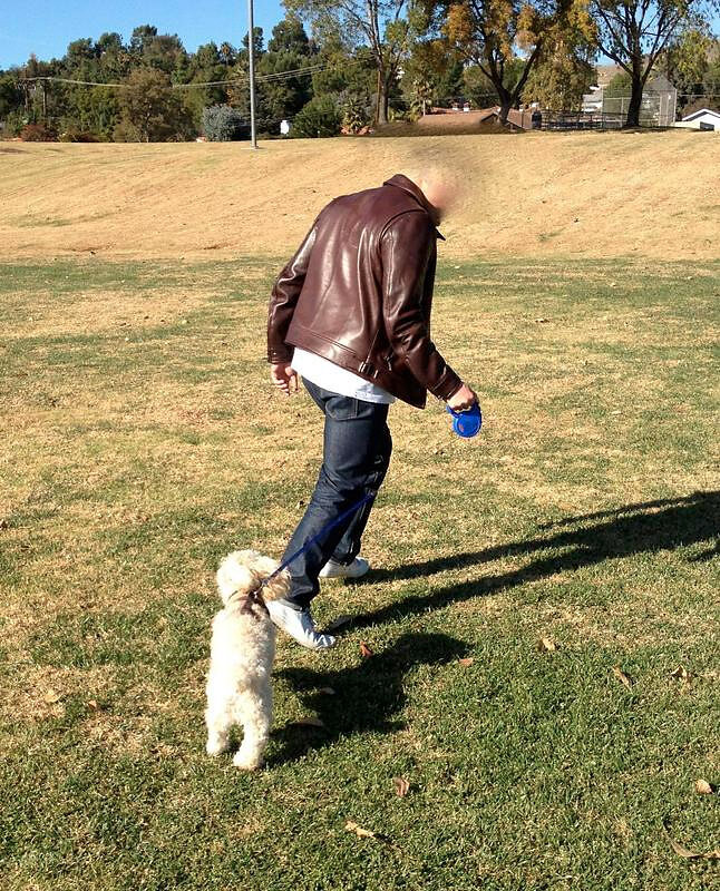 20201110-14-dbear.jpg