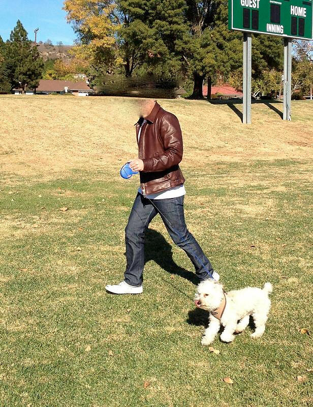 20201110-13-dbear.jpg